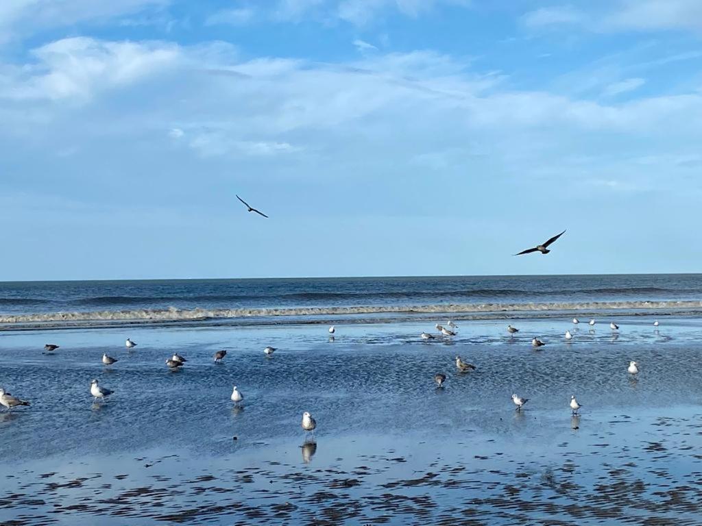 L'Escale A Deauville Eksteriør billede